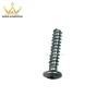 Flat Head Chip Board Self Tapping Screw Supplier From China